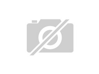 Suche Löwenkopfweibchen